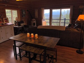 TV, fireplace, books, music library