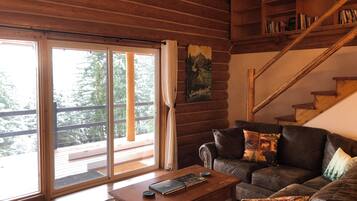 Télévision, cheminée, livres, médiathèque