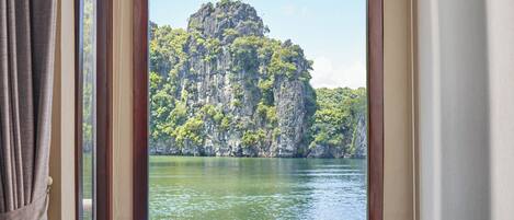 Escritorio, cortinas blackout y insonorización
