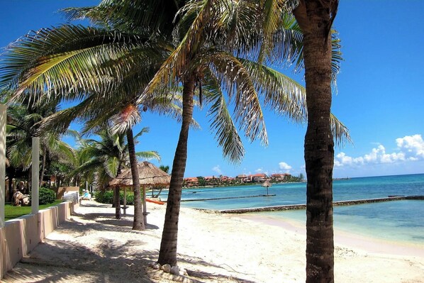 Private beach, white sand, sun loungers, beach umbrellas - Beach Front Luxury condo (Puerto Aventuras)