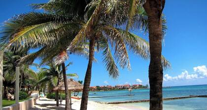 Beach Front Luxury condo