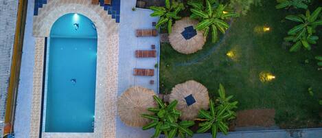 An aerial view of a swimming pool with a dolphin sculpture, surrounded by lounge chairs and palm trees.