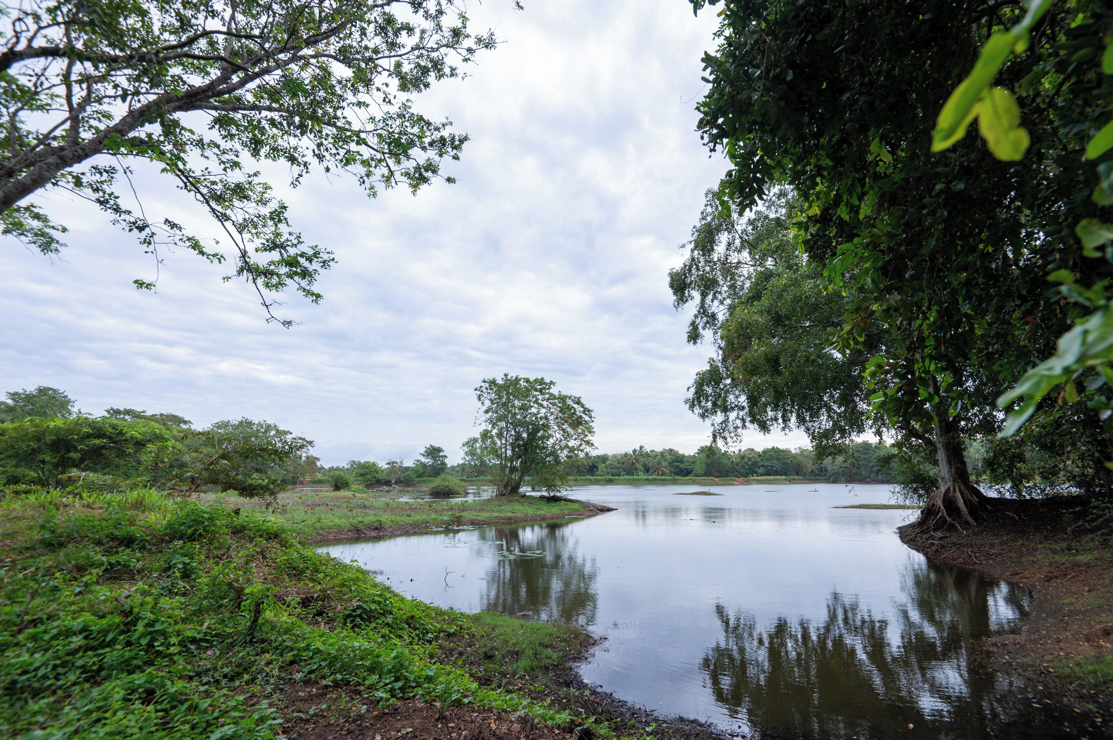 A calm river with trees on the banks.