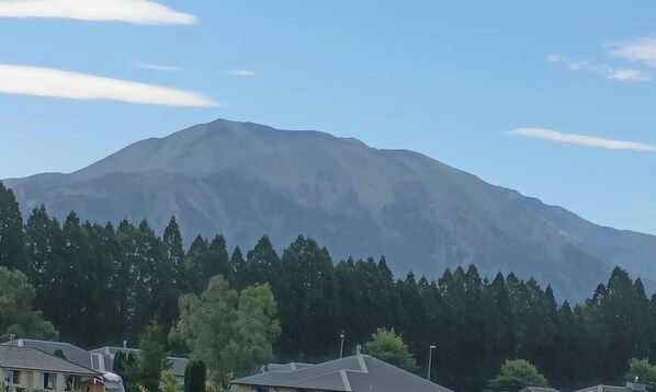A mountain with a forested foreground and residential buildings. - Mt Hutt Views at 23 Methven (Methven)