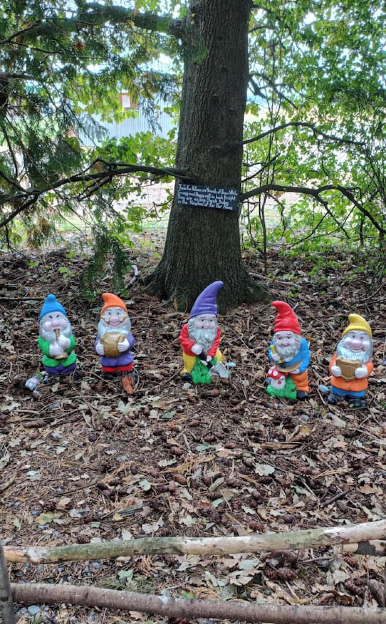 Garden gnomes sitting on a leaf-covered ground with a tree and a sign in the background.
