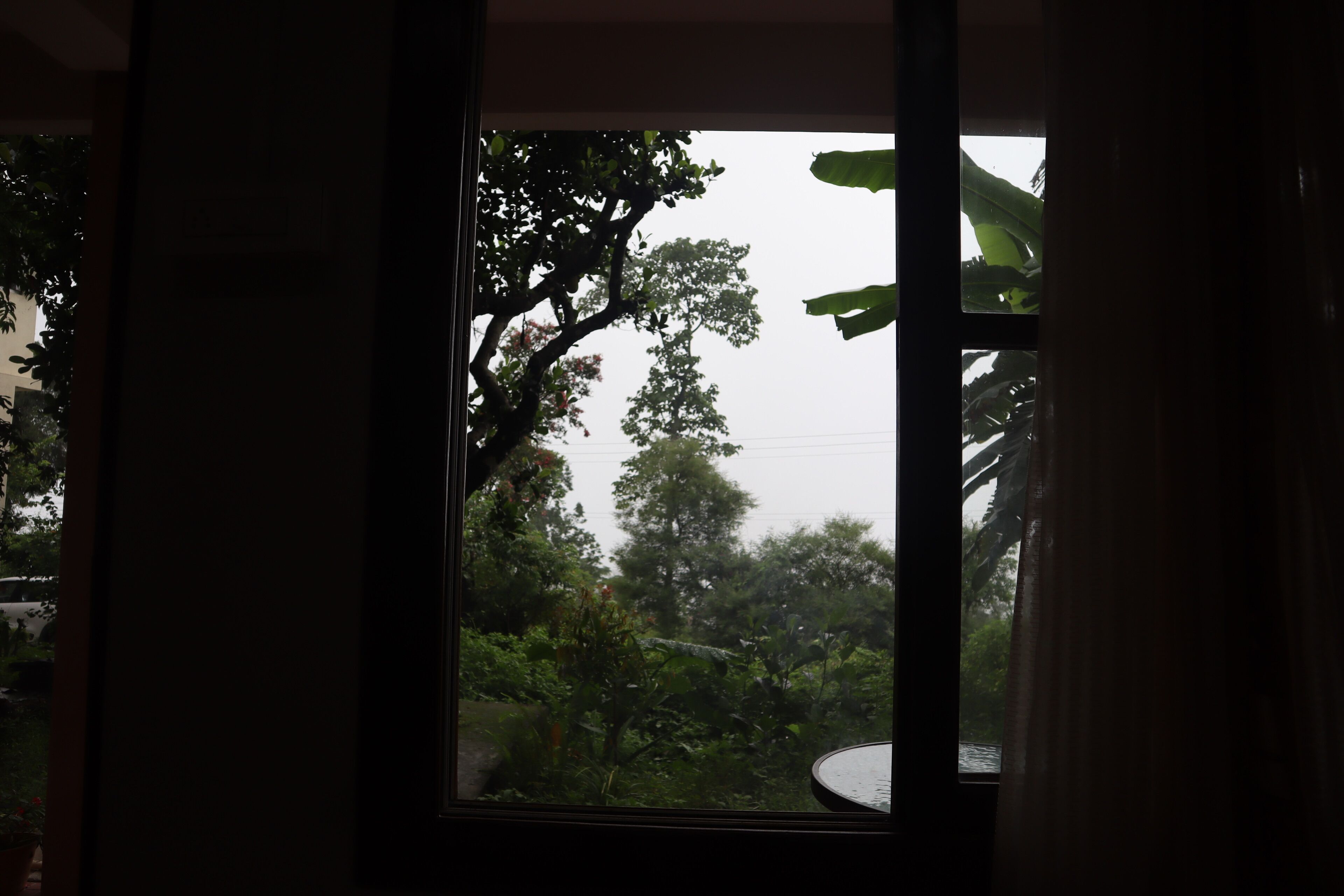 A window with a view of a garden and trees.