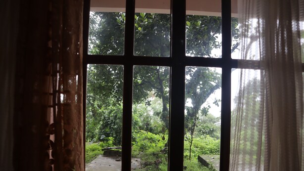 A window with a view of a garden. - The Bicknell's Nest (Kalimpong)
