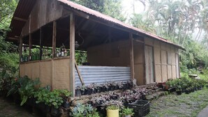 A rustic wooden structure with a corrugated metal roof, surrounded by potted plants and greenery. - The Bicknell's Nest (Kalimpong)