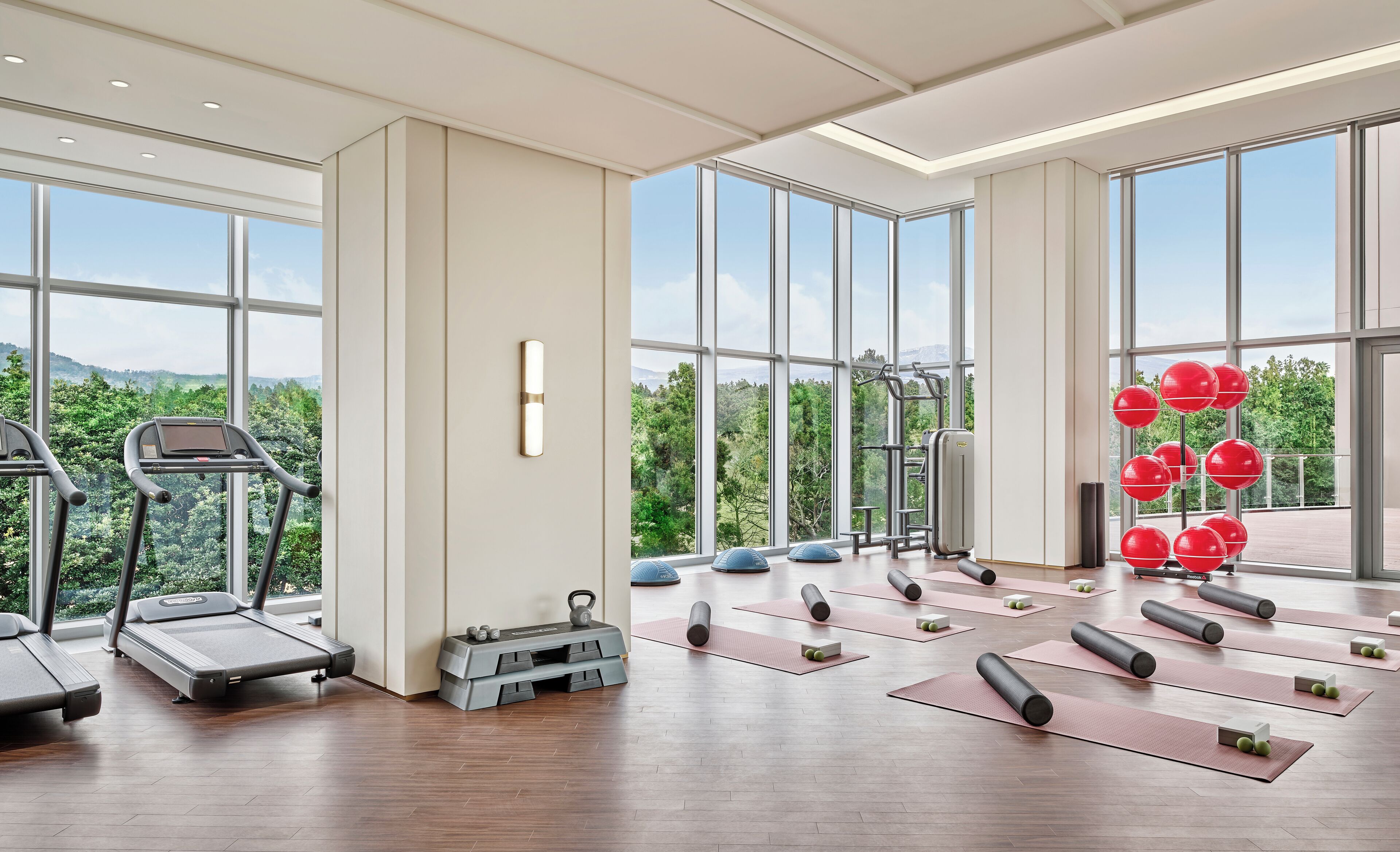 Une salle de sport spacieuse équipée de tapis de course, de ballons d’exercice et de tapis de sol, avec de grandes fenêtres donnant sur un paysage verdoyant.