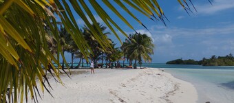 San Blas Kids Friendly Private Catamaran. All inc+WiFi+playground.