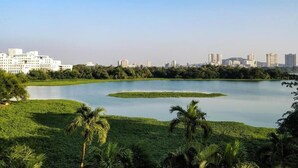 Un lago rodeado de vegetación con edificios al fondo.