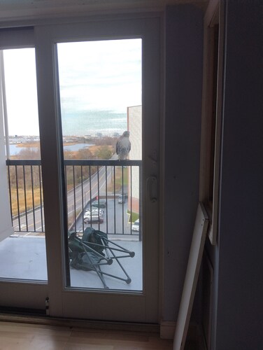 Cozy 1-bedroom condo in awesome Quincy with WiFi, AC