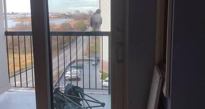 Cozy 1-bedroom condo in awesome Quincy with WiFi, AC