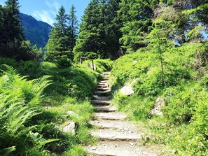 Parco della struttura