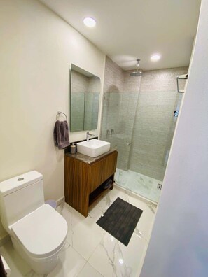 Shower, hair dryer, towels