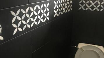 Shower, towels, toilet paper