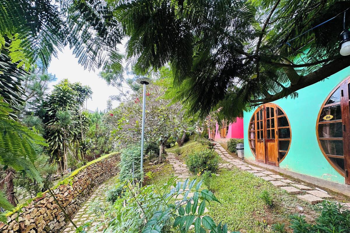 A garden pathway leading to a building with a unique curved window and a sign labeled 'H6'.