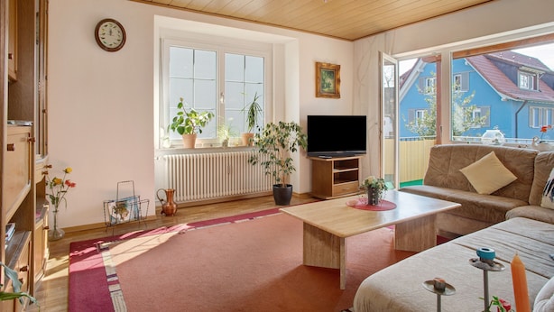 Ein Wohnzimmer mit Fernseher, Sofa, Couchtisch und Topfpflanzen.