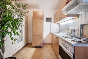 Fridge, stovetop, cookware/dishes/utensils