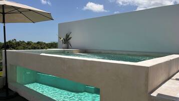 Ein Poolbereich im modernen Stil mit klarem, blauem Wasser, einer Topfpflanze und einer weißen Wand.