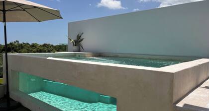 Penthouse Elementos Cozumel Torre Fuego