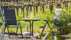A vineyard with rows of grapevines, a table with chairs, and a green umbrella. - Apartment '303' with Shared Garden, Wi-Fi and Air Conditioning (Hagnau)
