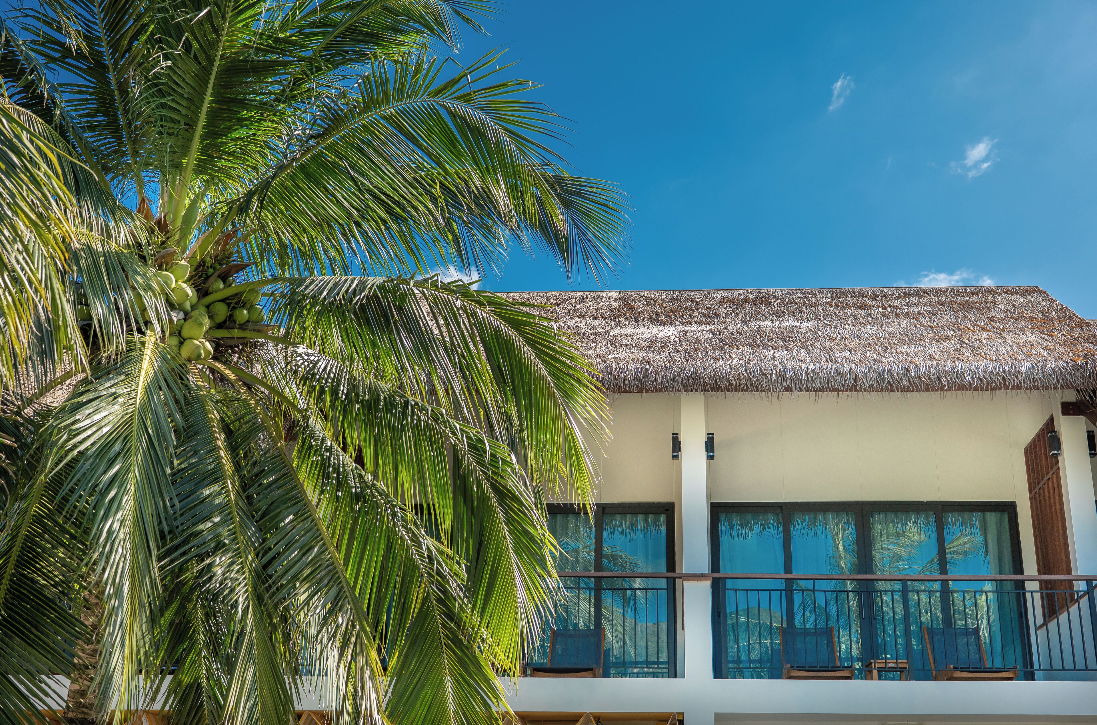 Habitación Deluxe, vista al mar | Vista del balcón