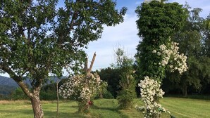 A park with trees, a bench, and a grassy field. - Apartment 1 with Alpine Views, Outdoor Seating, and Wi-Fi (Schopfheim)