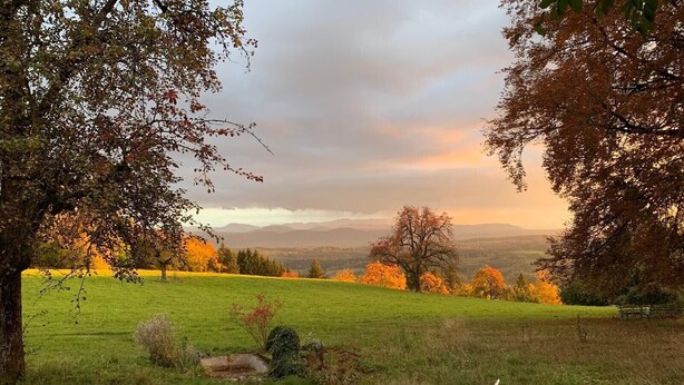 A grassy field with two white metal chairs and a table, surrounded by trees with autumn foliage. - Apartment 1 with Alpine Views, Outdoor Seating, and Wi-Fi (Schopfheim)