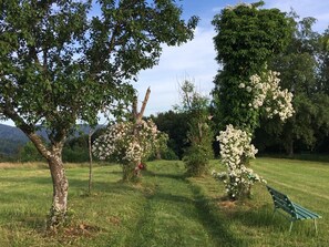 Jardines del alojamiento