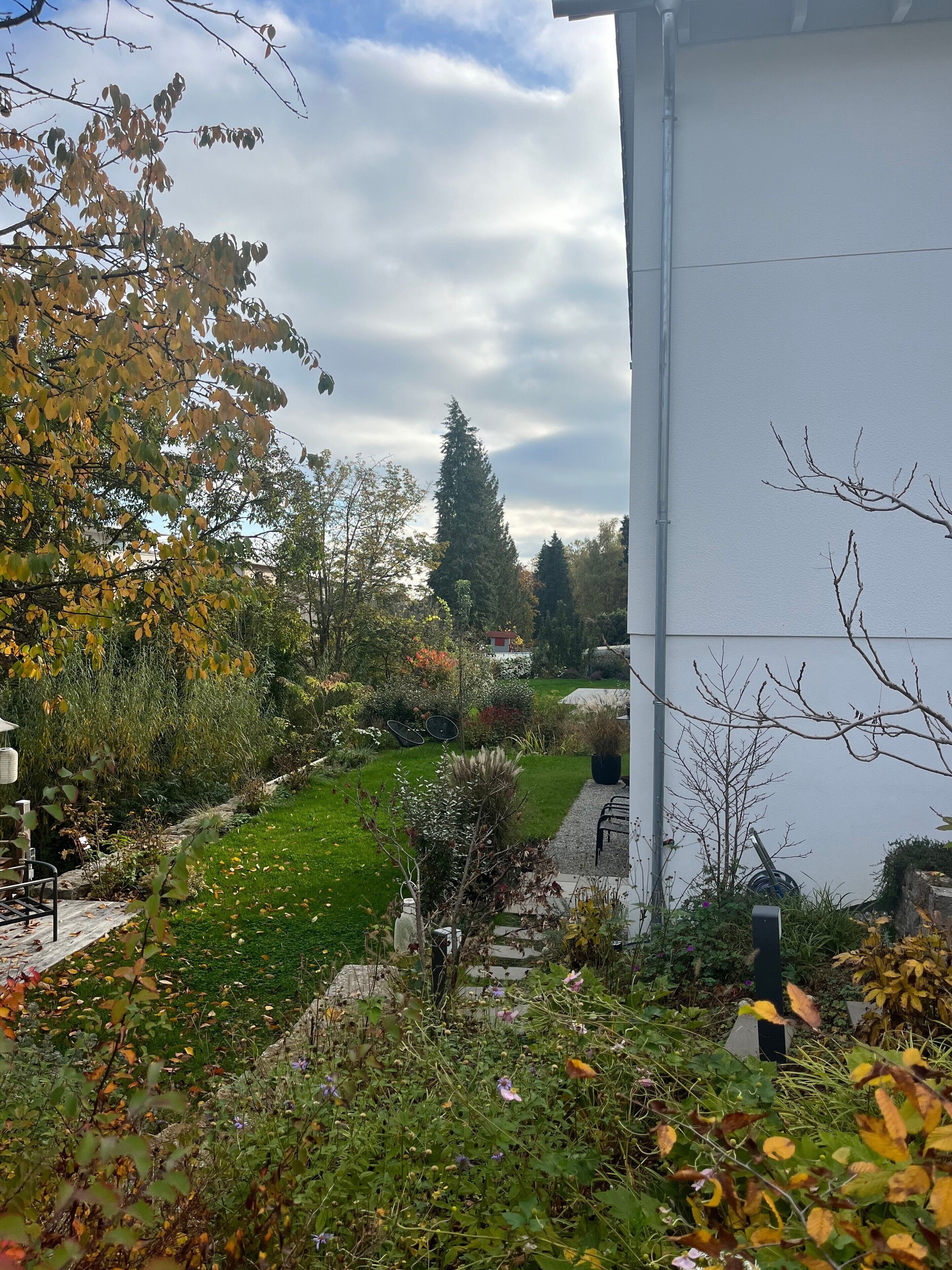 Ein Garten mit einem Weg, der zu einem Gebäude führt.