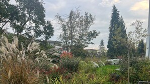 Una terrassa de fusta amb mobles d'exterior, una taula petita i diverses plantes i arbres.