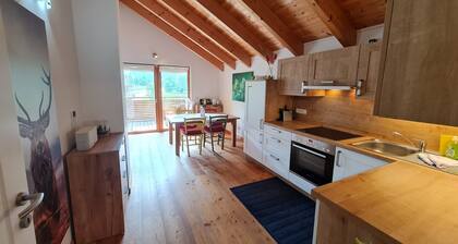 Lux beautiful apartment with view