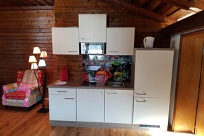 Fridge, microwave, stovetop, cookware/dishes/utensils
