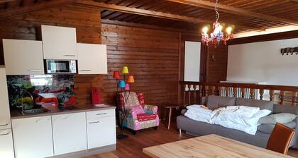 Pretty apartment for nature lovers