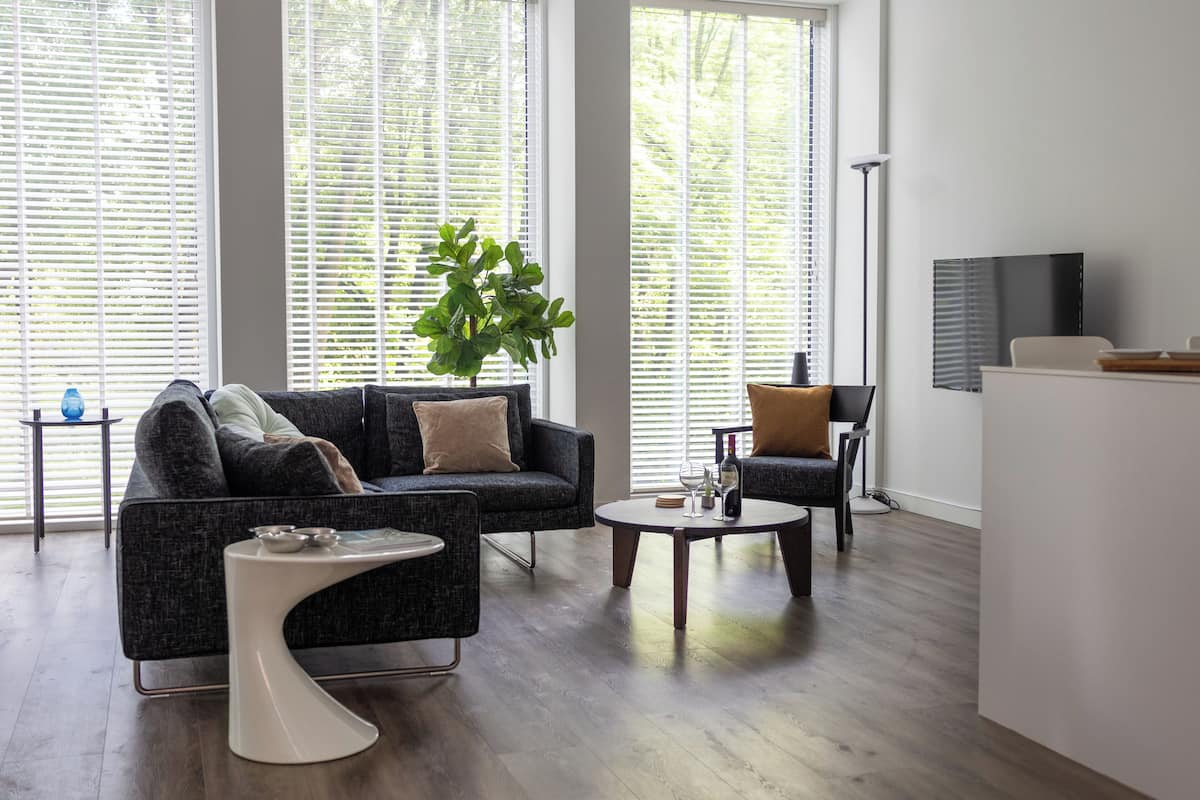 A modern living room with a dark grey sofa, a white side table, and a round coffee table. A large green plant is in the center, and there is a TV on the right wall.