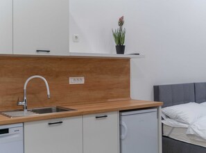 Apartment (One Bedroom Apartment) | Private kitchen | Fridge - Exclusive and Classy Apartments Downtown Ljubljana (Ljubljana)
