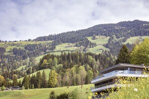 A modern building with a flat roof and large windows, surrounded by lush green fields and a forested mountain in the background.