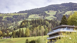 A modern building with a flat roof and large windows, surrounded by green fields and trees. - Apartment in Hopfgarten for 4 persons (Hopfgarten)