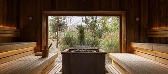 Amazing penthouse near ski-area (No Deposit)