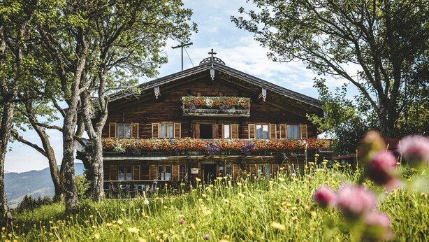 A wooden building with a balcony, surrounded by trees and a field of flowers. - Cosy apartment near ski-slope (Westendorf)