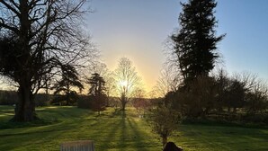 Un chien est assis sur une terrasse, avec vue sur un champ verdoyant et des arbres.