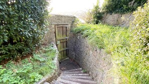 Un escalier en pierre menant à une porte en bois, le tout entouré de verdure.