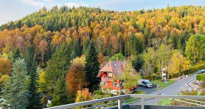 Vacation apartment Panoramablick in Todtmoos