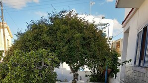 Una mesa redonda al aire libre con dos sillas, rodeada por un pequeño árbol y una planta en maceta.
