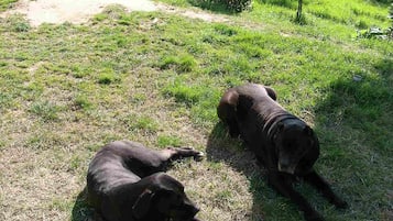 House | Interior detail