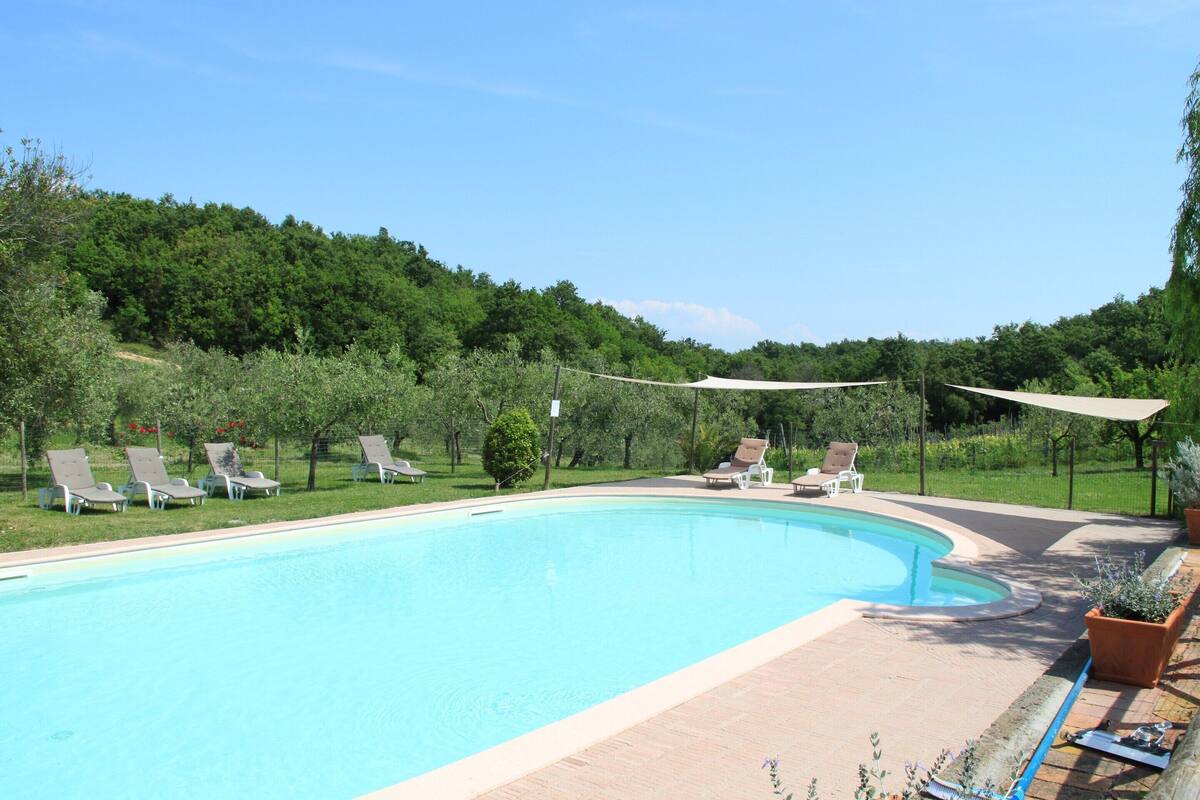 House | Pool | Outdoor pool