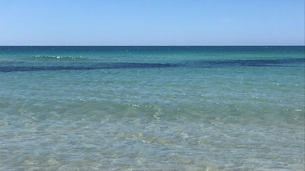 A clear view of a beach with calm water and a clear sky. - Relax Star House. An oasis of peace in the heart of Salento (Presicce-Acquarica)