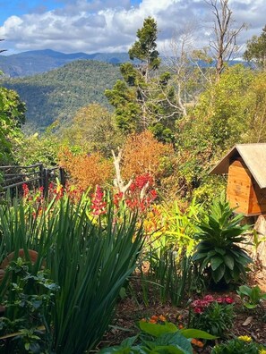Cabin, 1 Bedroom, Smoking, Mountain View | Property grounds - Escape to a Mountain Retreat in Beechmont, Australia (Beechmont)