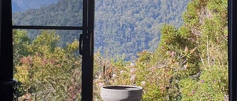 Cabin, 1 Bedroom, Smoking, Mountain View | View from property